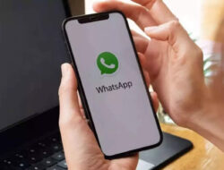 WhatsApp Siapkan Fitur Verifikasi Email untuk Pengguna